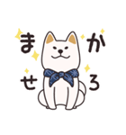 でふぉるめ柴犬スタンプ 白 vol.1（個別スタンプ：1）