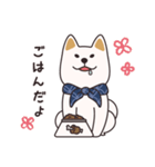 でふぉるめ柴犬スタンプ 白 vol.1（個別スタンプ：3）