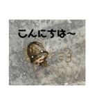愉快な生き物達！2（個別スタンプ：2）