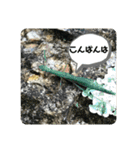 愉快な生き物達！2（個別スタンプ：3）