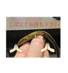 愉快な生き物達！2（個別スタンプ：8）