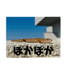 愉快な生き物達！2（個別スタンプ：12）