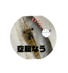 愉快な生き物達！2（個別スタンプ：13）
