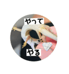 愉快な生き物達！2（個別スタンプ：14）