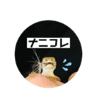 愉快な生き物達！2（個別スタンプ：15）
