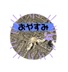愉快な生き物達！2（個別スタンプ：16）