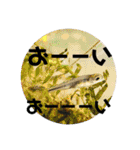 愉快な生き物達！2（個別スタンプ：17）