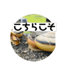 愉快な生き物達！2（個別スタンプ：19）