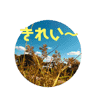 愉快な生き物達！2（個別スタンプ：20）