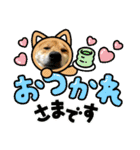 【柴犬わん】の日常スタンプ（個別スタンプ：20）