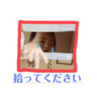 たけるくんきゃわたんスタンプ（個別スタンプ：19）