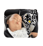たけるくんきゃわたんスタンプ（個別スタンプ：22）
