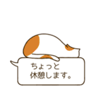 猫のふきだしスタンプだニャン（個別スタンプ：40）