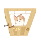 絵本なほんわかコーギー犬〜Winter World〜（個別スタンプ：8）