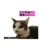 メルミュウウニ③（個別スタンプ：1）