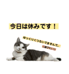メルミュウウニ③（個別スタンプ：3）