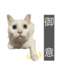 メルミュウウニ③（個別スタンプ：7）