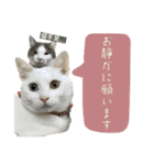 メルミュウウニ③（個別スタンプ：18）