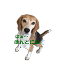 オレは茶々丸③（個別スタンプ：6）