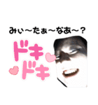 I'm 師 匠（個別スタンプ：12）