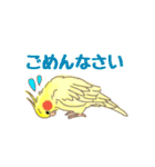 オカメインコ 日常会話 丁寧 使いやすい（個別スタンプ：2）