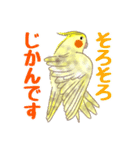 オカメインコ 日常会話 丁寧 使いやすい（個別スタンプ：12）