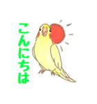 オカメインコ 日常会話 丁寧 使いやすい（個別スタンプ：14）