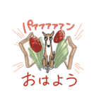 イタグレ飯（個別スタンプ：13）
