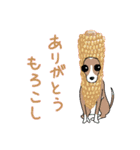 イタグレ飯（個別スタンプ：15）