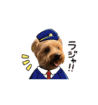 ヒットのまいにち②（個別スタンプ：2）