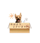 ヒットのまいにち②（個別スタンプ：5）