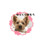 ヒットのまいにち②（個別スタンプ：9）