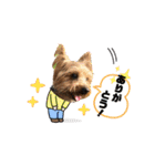 ヒットのまいにち②（個別スタンプ：13）