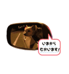 ヒットのまいにち②（個別スタンプ：20）