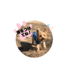 ヒットのまいにち②（個別スタンプ：24）