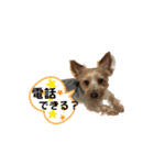 ヒットのまいにち②（個別スタンプ：26）