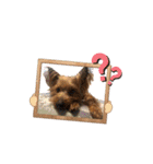 ヒットのまいにち②（個別スタンプ：27）