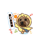 ヒットのまいにち②（個別スタンプ：33）