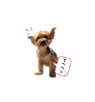 ヒットのまいにち②（個別スタンプ：39）