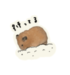 キンクマのキンちゃん4（個別スタンプ：14）