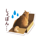 猫のみゅーとちー（個別スタンプ：21）