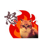 猫のみゅーとちー（個別スタンプ：30）