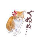 猫のみゅーとちー（個別スタンプ：31）