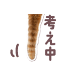 猫のみゅーとちー（個別スタンプ：33）