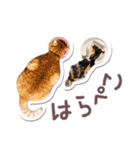猫のみゅーとちー（個別スタンプ：36）