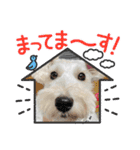 ぽんず元気です（個別スタンプ：3）