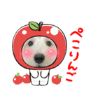 ぽんず元気です（個別スタンプ：7）