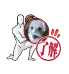 ぽんず元気です（個別スタンプ：15）
