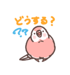 アキクサインコLINEスタンプ3（個別スタンプ：2）