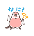 アキクサインコLINEスタンプ3（個別スタンプ：4）